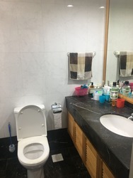 The Edgewater (D17), Condominium #166148622